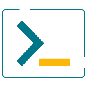 Custom development